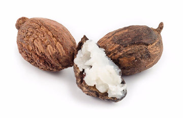 AKARZ Shea Butter Cream - Pure, High-quality, Skin Care - Fade Wrinkles, Anti-Aging, Whitening - Neck Care Cream